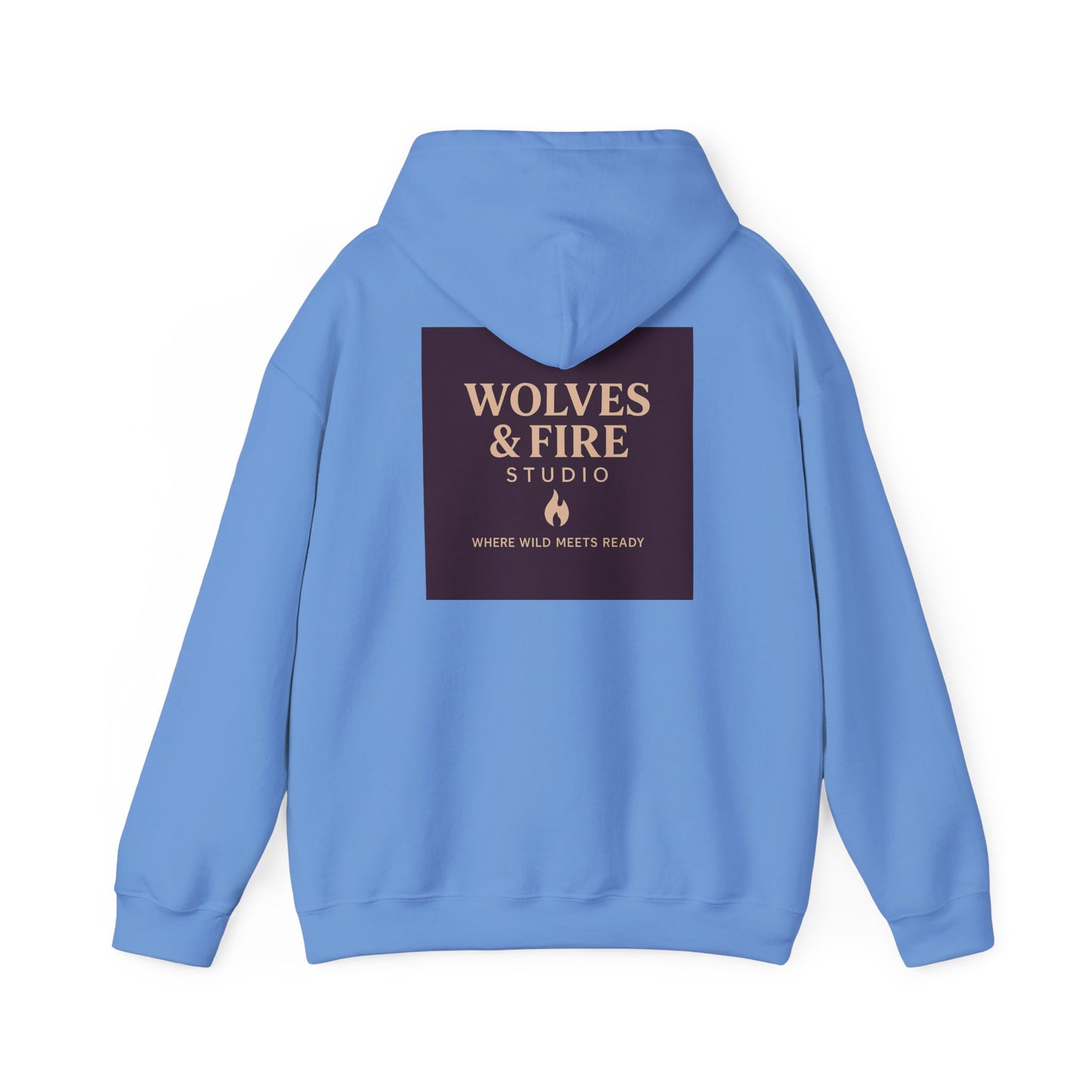 Wells GoFuckyourself Fargo – Premium Hoodie (Lucas Edition)